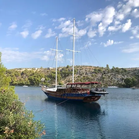 Oliven Penthouse Sutivan