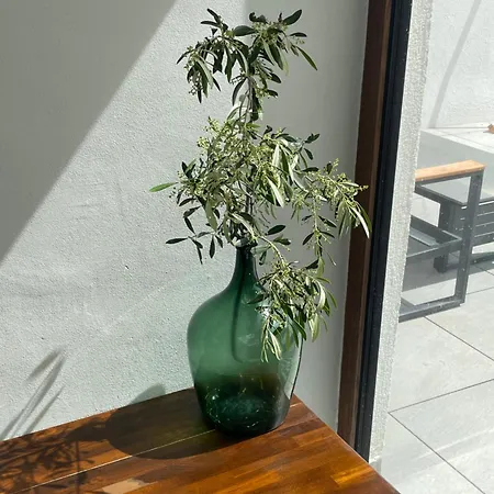 Oliven Penthouse Διαμέρισμα