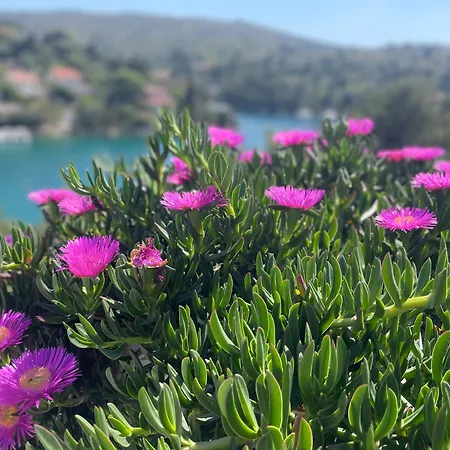 Apartman Oliven Penthouse