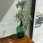 Oliven Penthouse Апартаменты